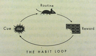 The habit loop: much more obvious if you're a mouse.