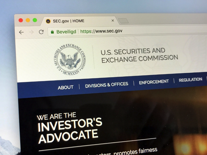 US Securities and Exchange Commission home page.