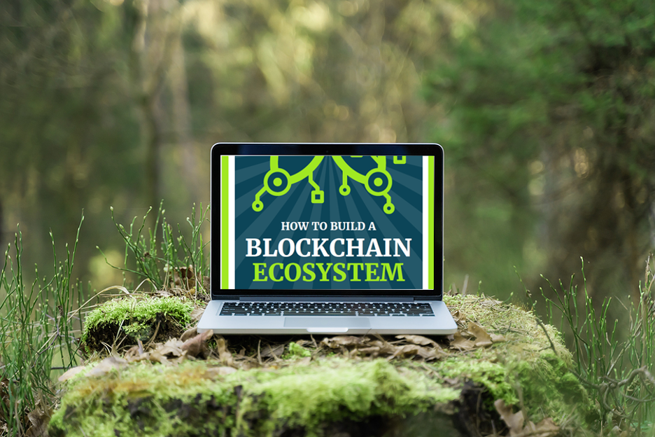 Blockchain ecosystem