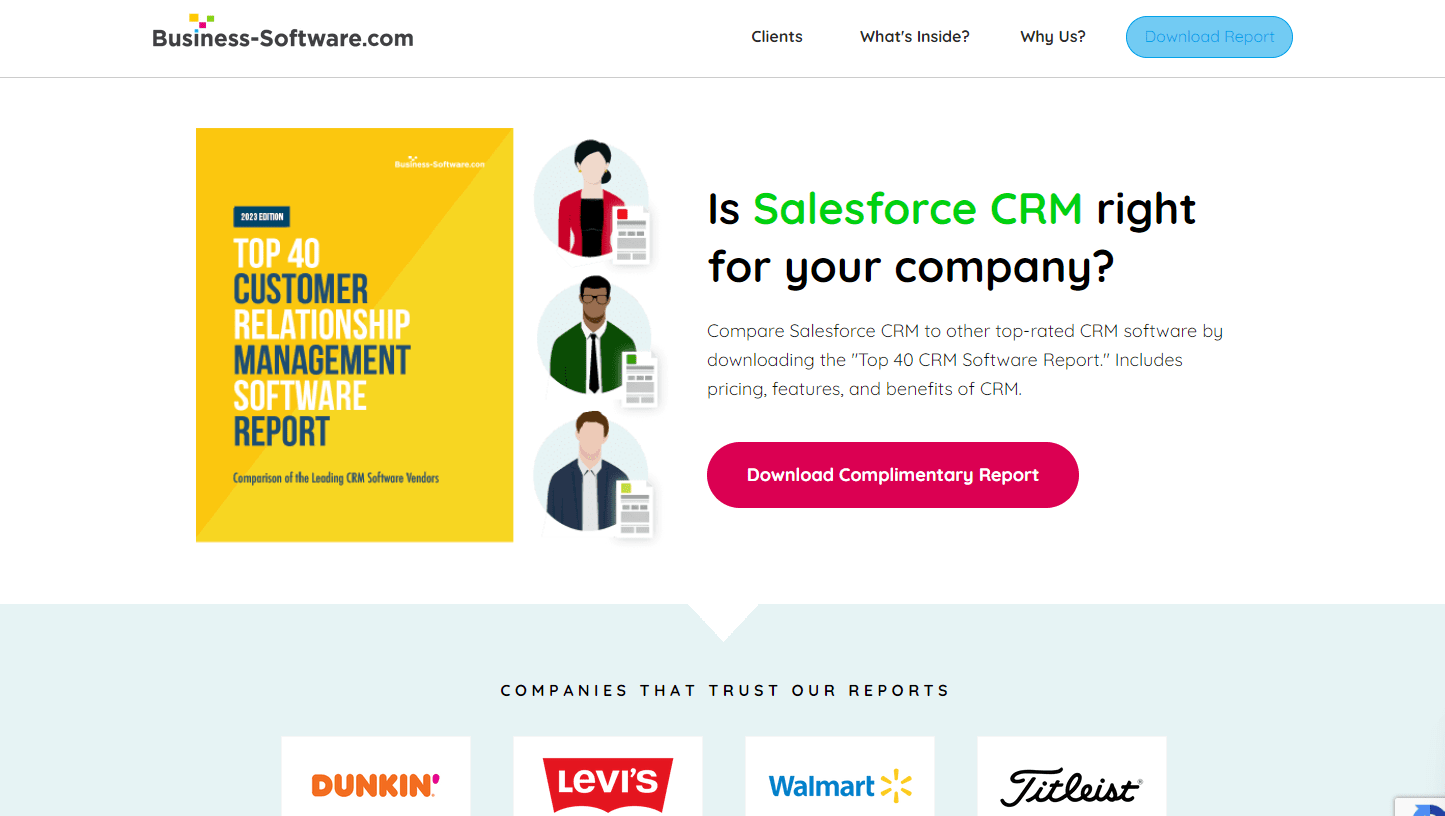 business software website screenshot