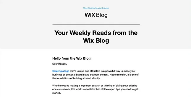 email newsletter example by Wix