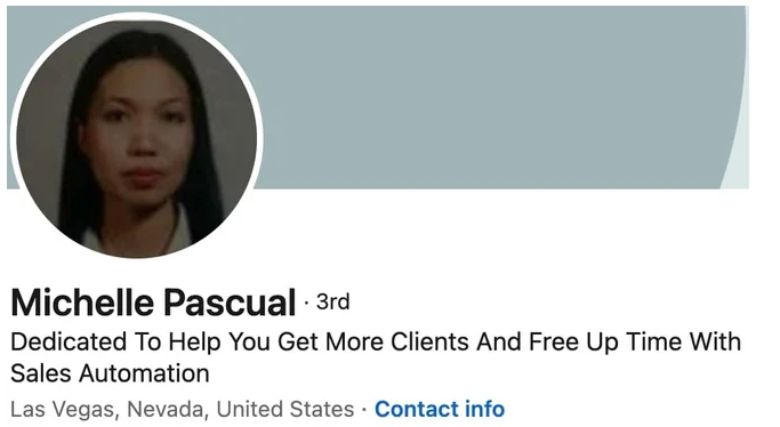 Michelle Pascual LinkedIn profile