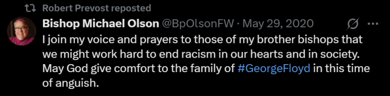 Comment on Social media by Bishop Michael Olson about racism