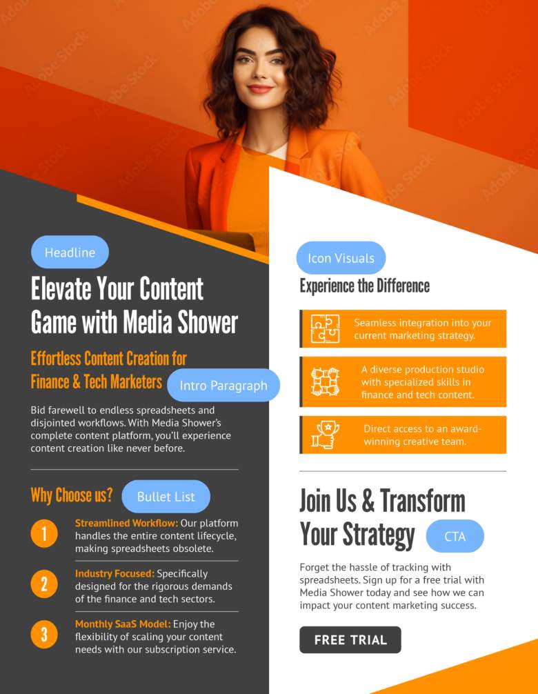 Media Shower's one-pager template