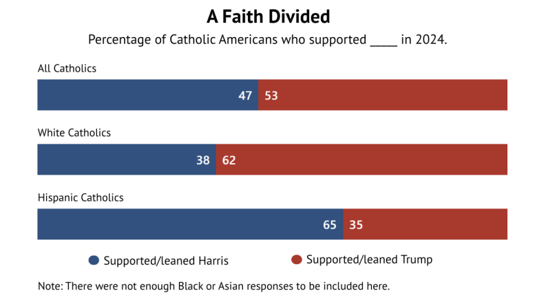 statistics of a faith divided about Pope Leo XIV