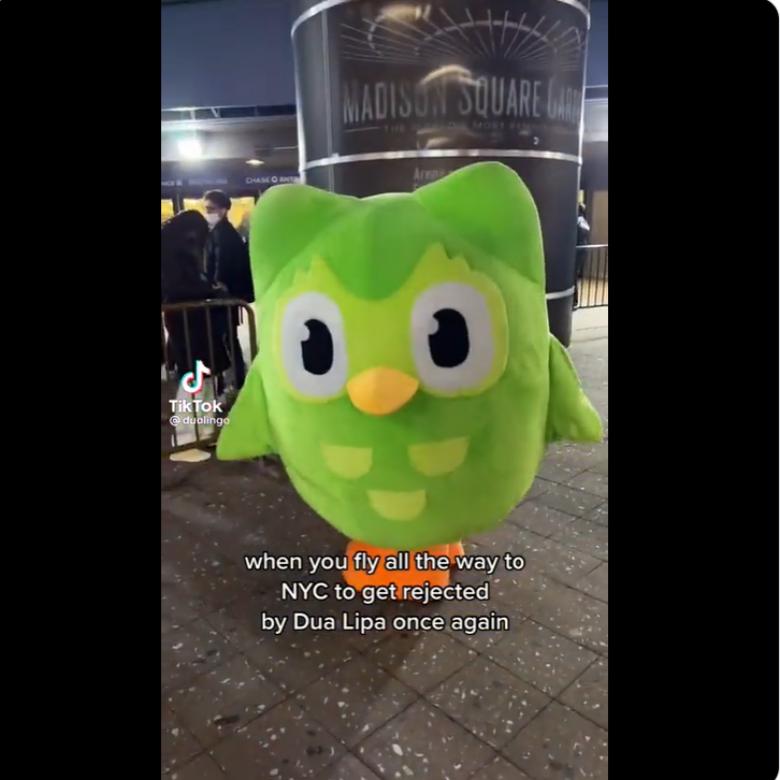 duolingo bird at the Madison Square for Dua Lipa's concert