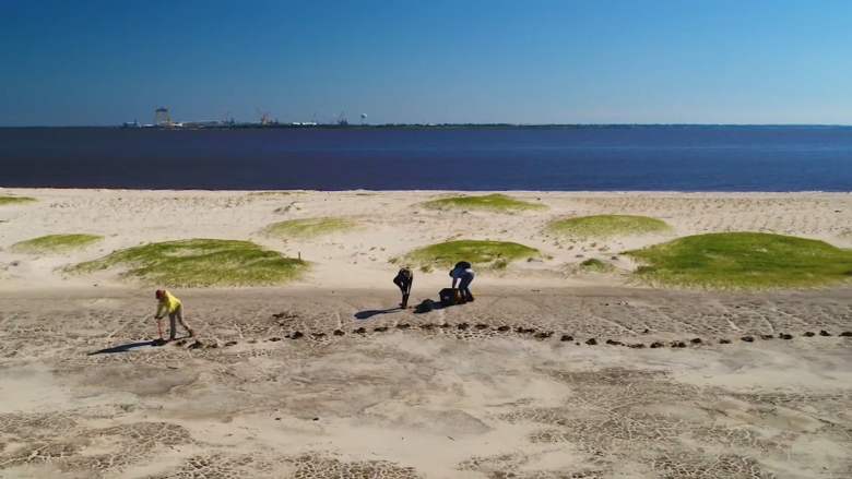 three people working on cleaning up the Gulf of Mexico