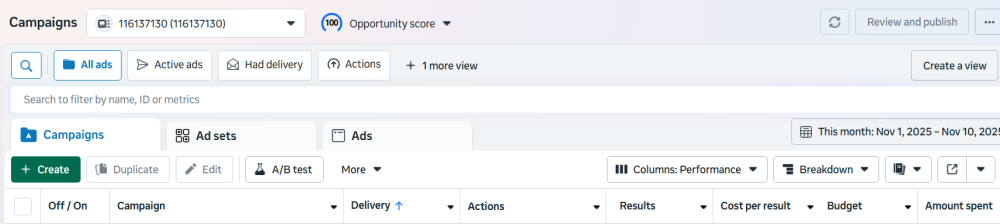 Campaigns dashboard with 116137130 ads and filters