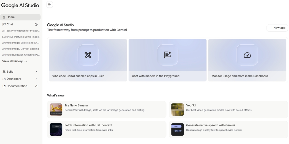 Google AI Studio dashboard with Gemini features.