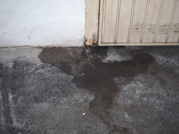 Wet garage floor with some rot.