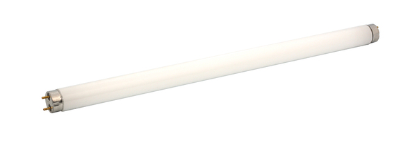 Florescent light tube