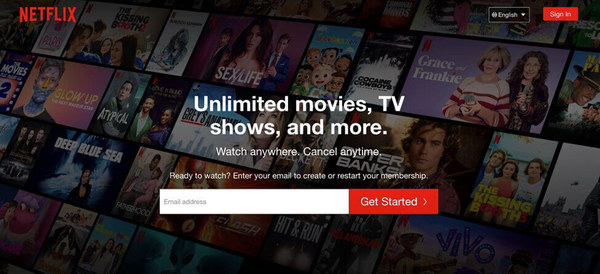 Netflix landing page.