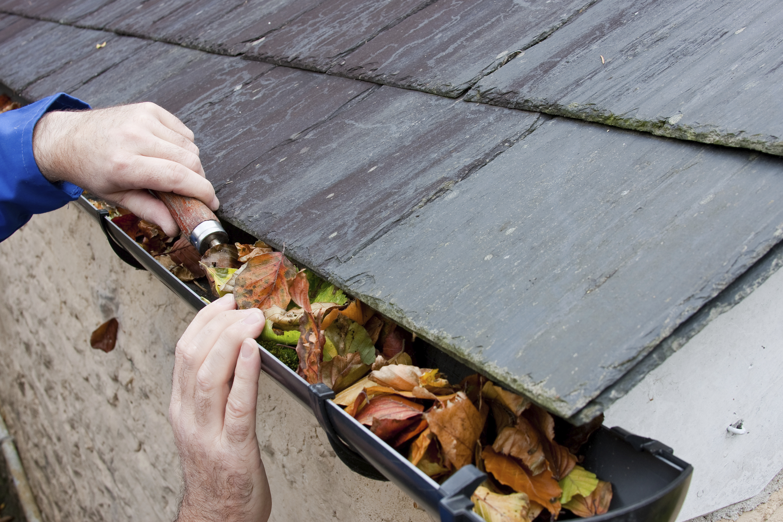 gutters clogged, hand cleans with tool.jpg (3100×2067)