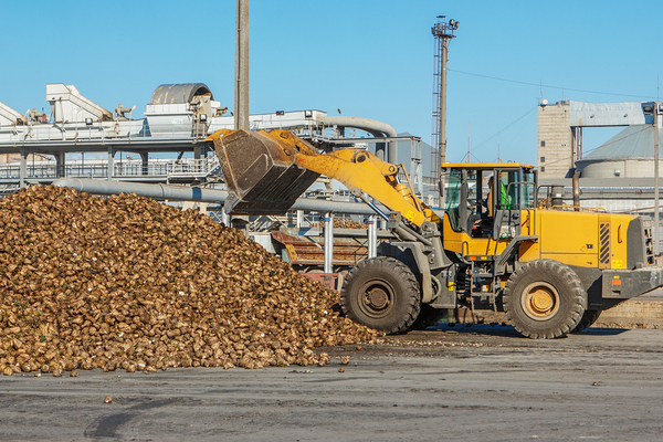 Perishability of produce, like these sweet potatoes, is a challenge for traceability systems for food companies.