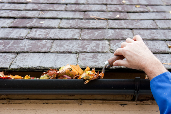 Removing leaves from a gutter.