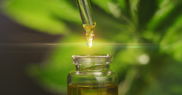 Cannabis oil.