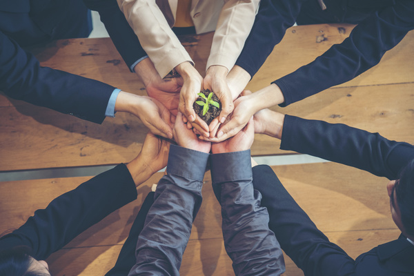 Group of hands holding a budding plant.