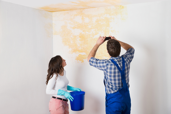 Home inspector
