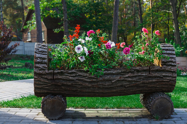 Garden planning