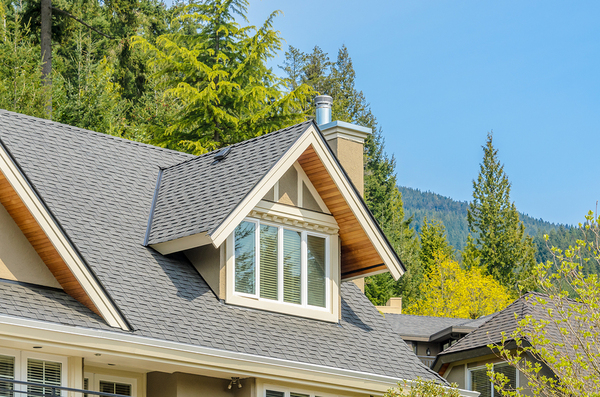 Roof shingles