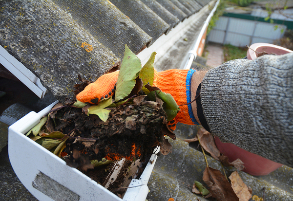 Cleaning leaves and debris from a gutter.
