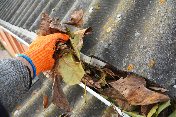Removing leaves from gutters.