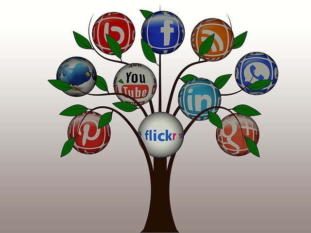 Use social media for inspiration.