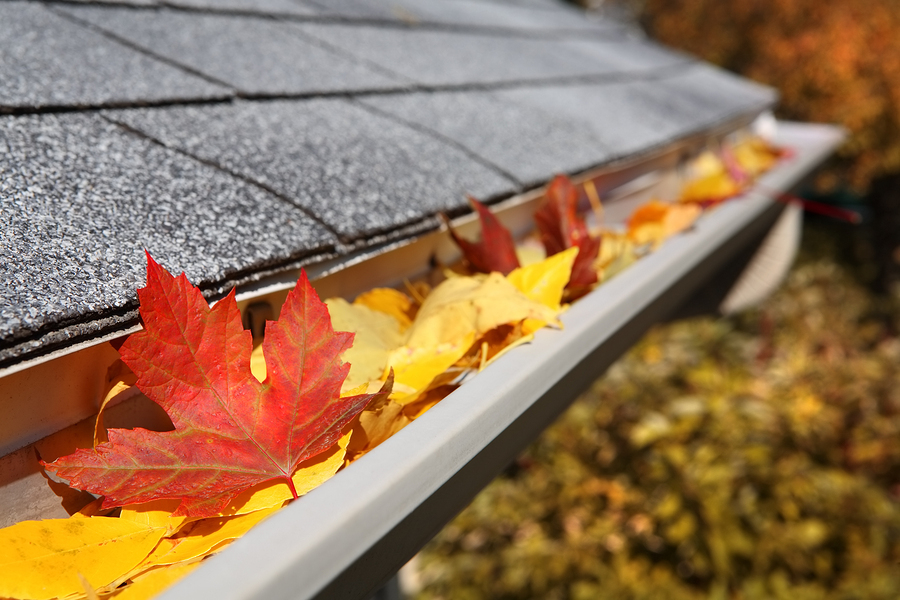 gutters leaves falling clear keeping gutter rain clogged prevent water draining should while