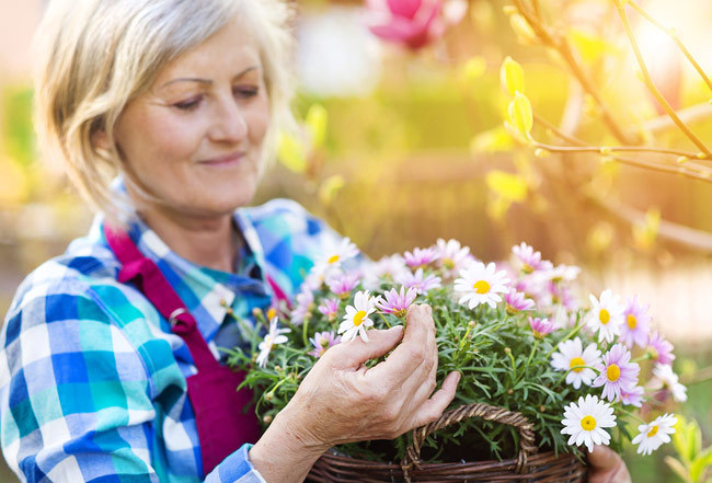 Gardening