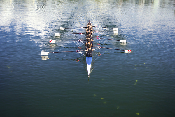 team effort rowing