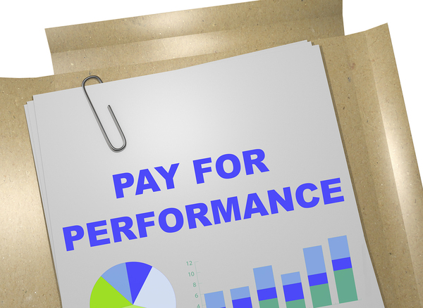 pay for performance business plan