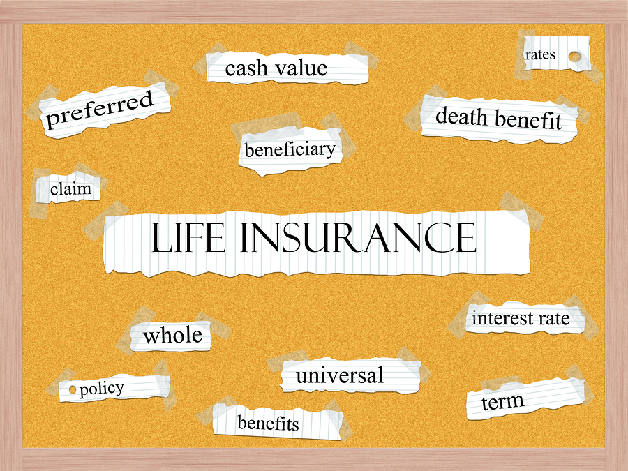 Finding the Best Life Insurance for High-Earners