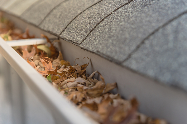 Gutters clogged with leaves.