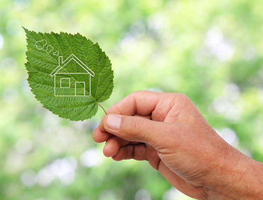 Green inspections