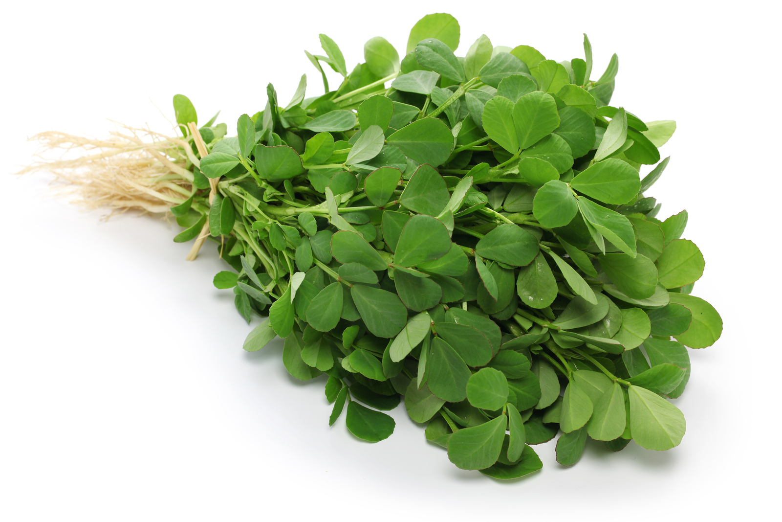 Top 5 Natural Viagra