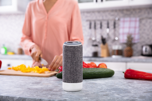 Echo is out of stock in the US – could a new smart speaker