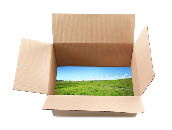 Cardboard box with an image of grass and blue sky at the bottom.