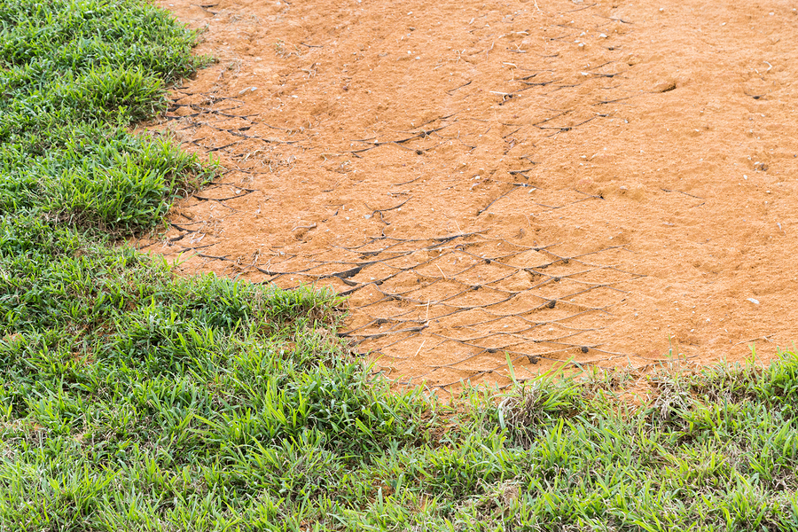 Spring erosion in your garden