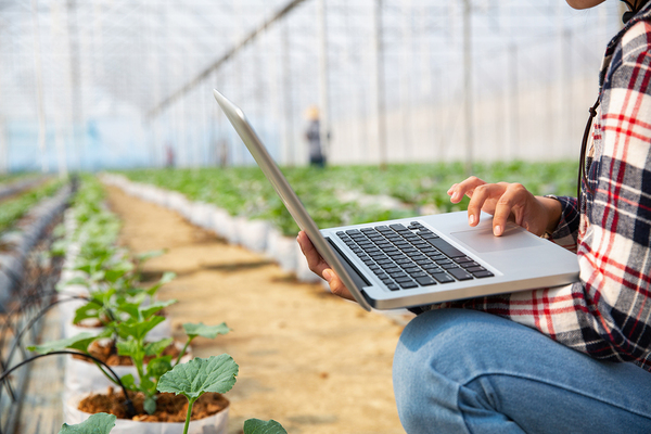 Farmer in a large greenhouse typing on a laptop computer.