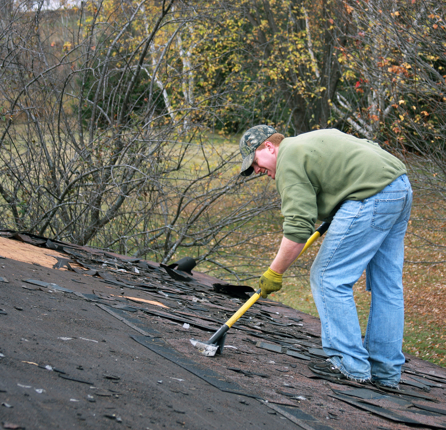 New roof