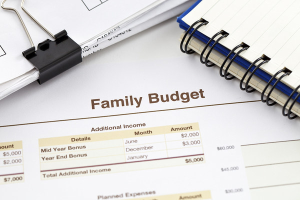 Family budget document.