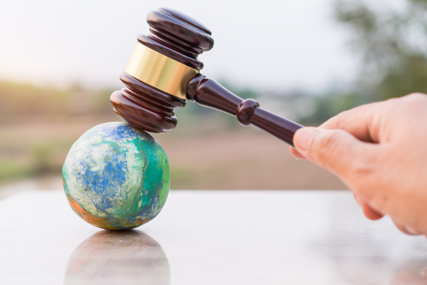 Gavel on a globe.