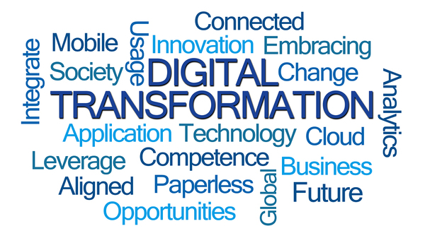 Digital Transformation Success