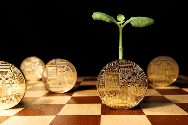 Chessboard with gold bitcoins standing up on their edge.