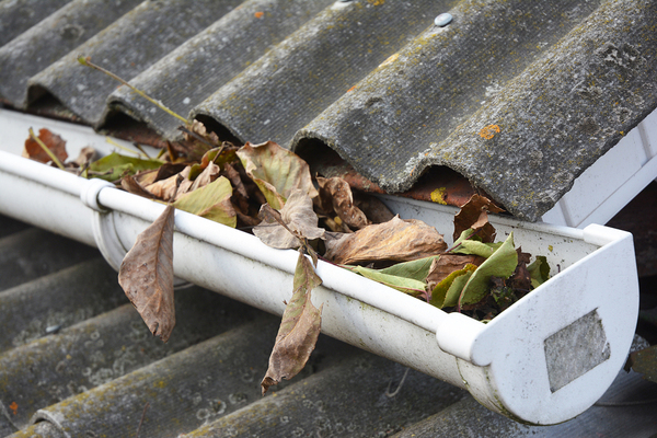 Gutter cover