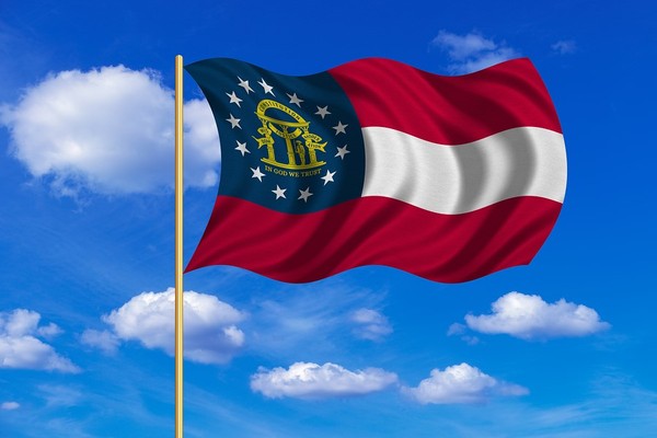 Georgia home inspection licensing