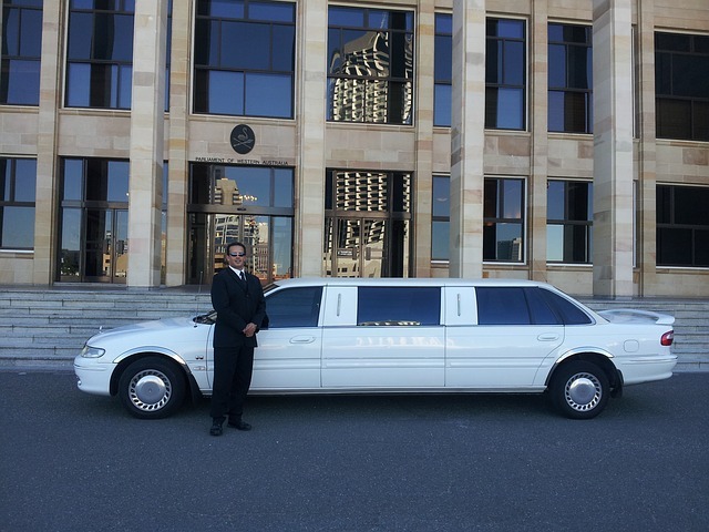 Marketing Strategies for Limousine Companies 