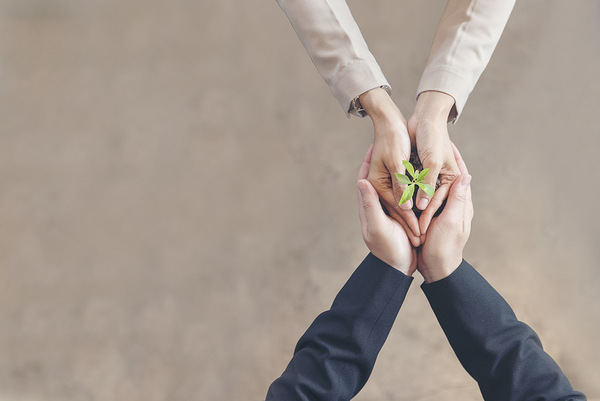 Hands holding a plant sprout.