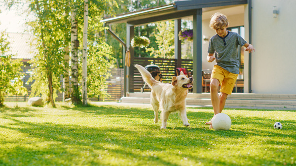 Boy playing in a yard with his dog.