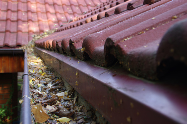 Gutters filled with leaves.